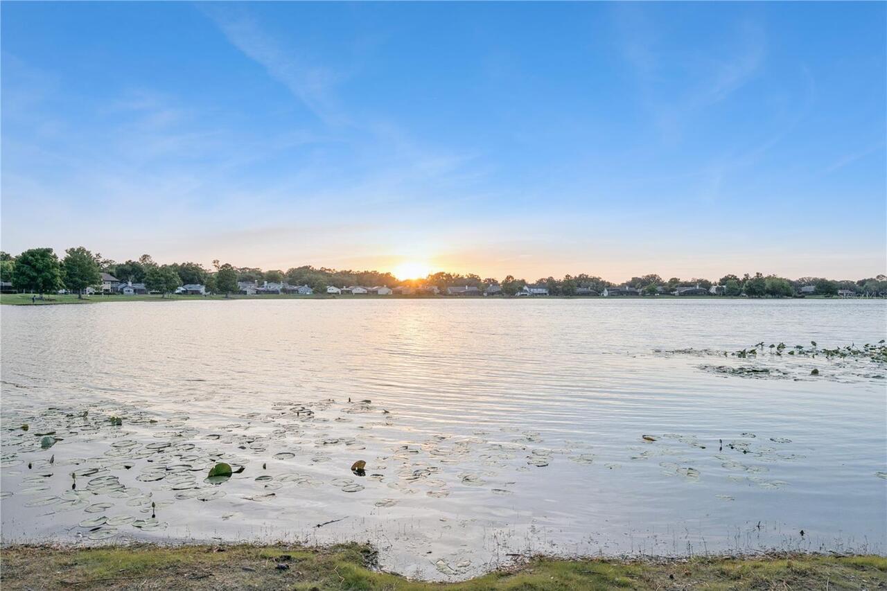 Listing Photo 61
