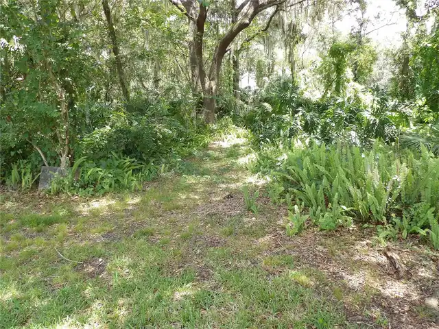 Listing Photo 37