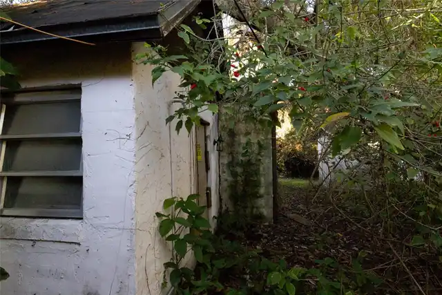 Listing Photo 17