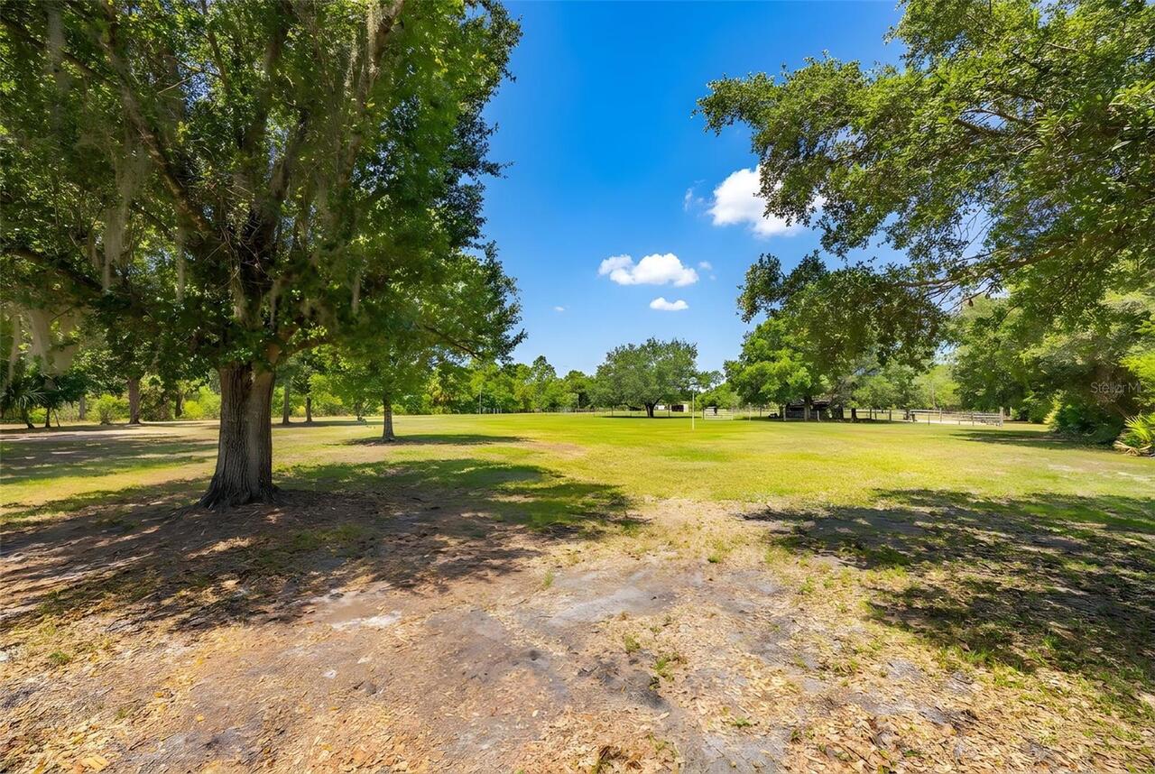 Listing Photo 31