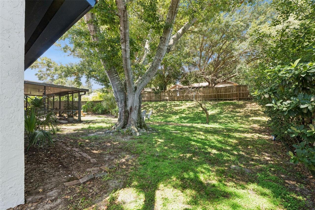 Listing Photo 28