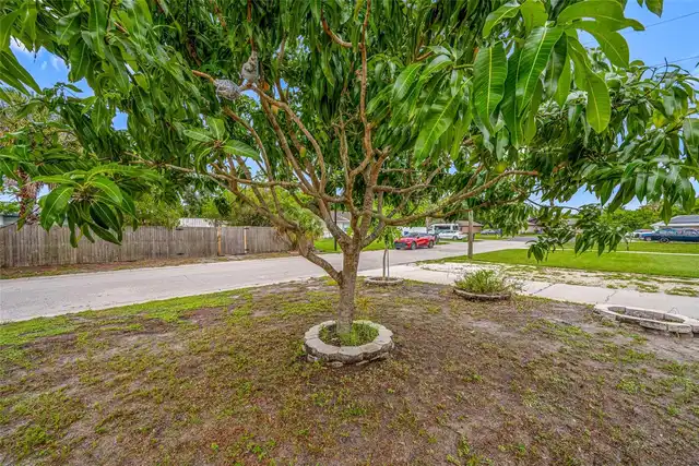 Listing Photo 23