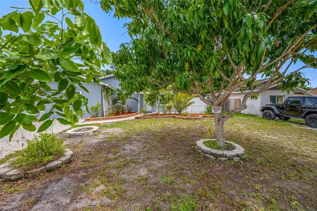 Listing Photo 24