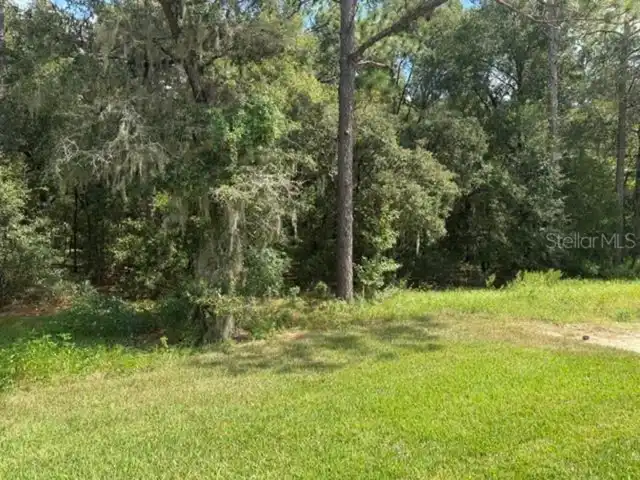 Listing Photo 13