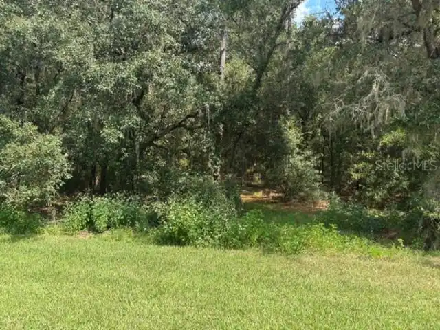 Listing Photo 14