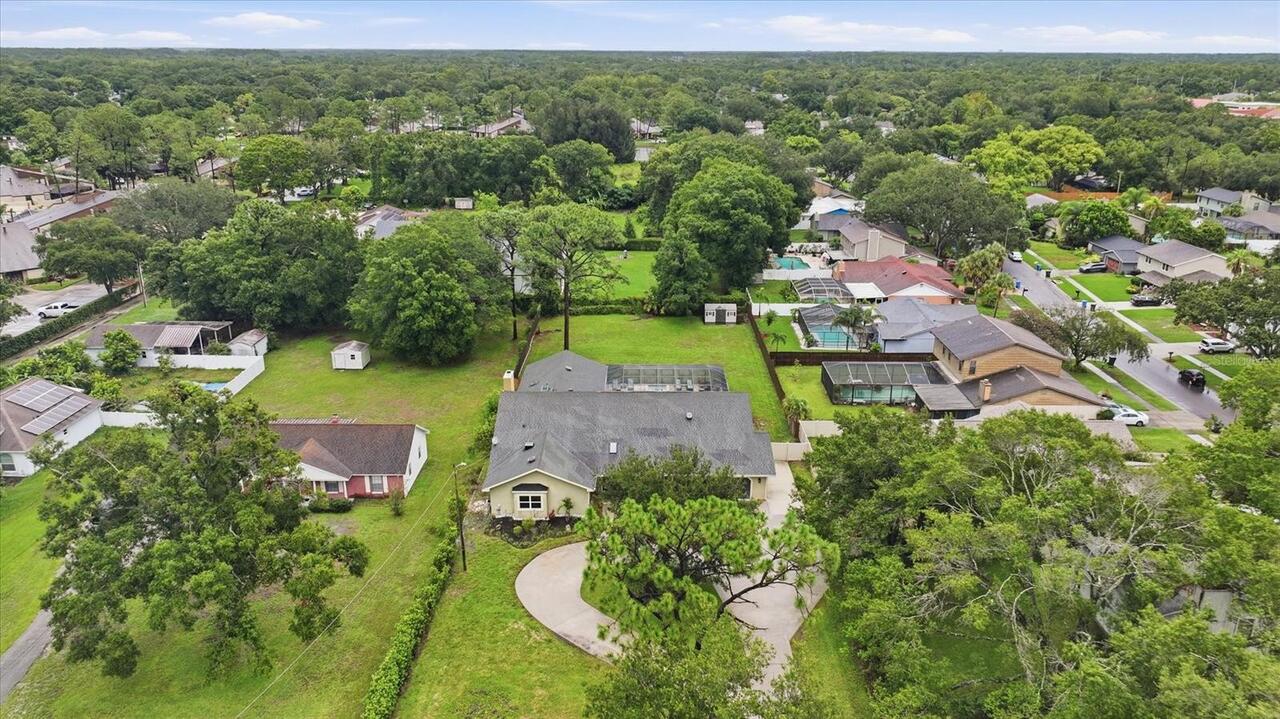 Tampa Real Estate