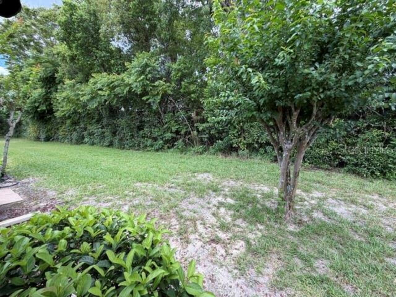 Listing Photo 13
