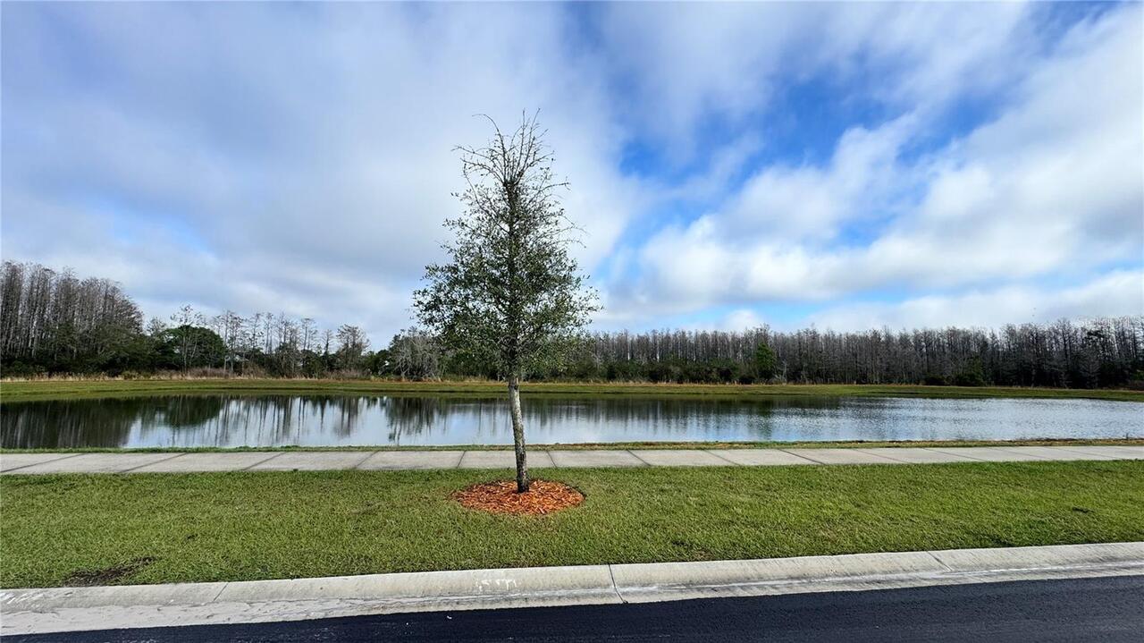 Listing Photo 11