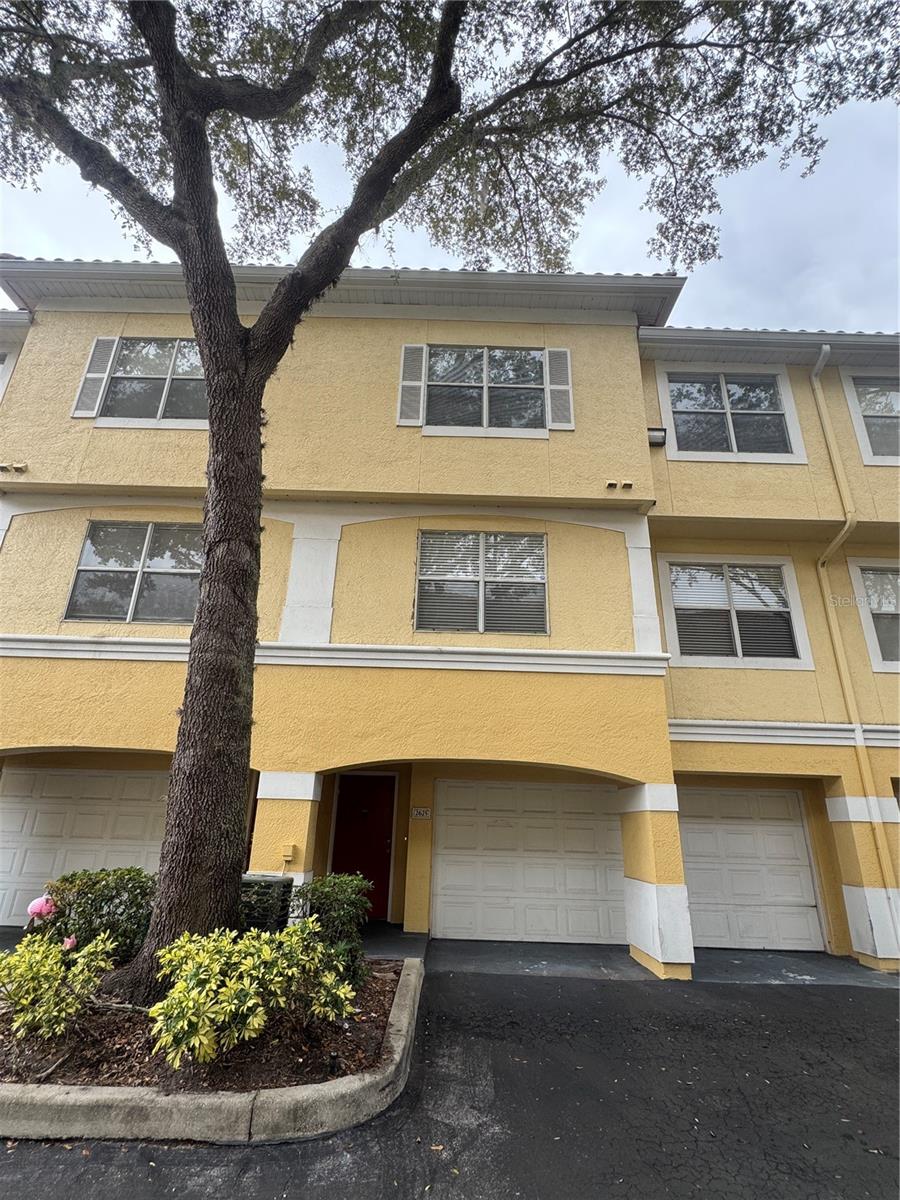 Maitland Real Estate