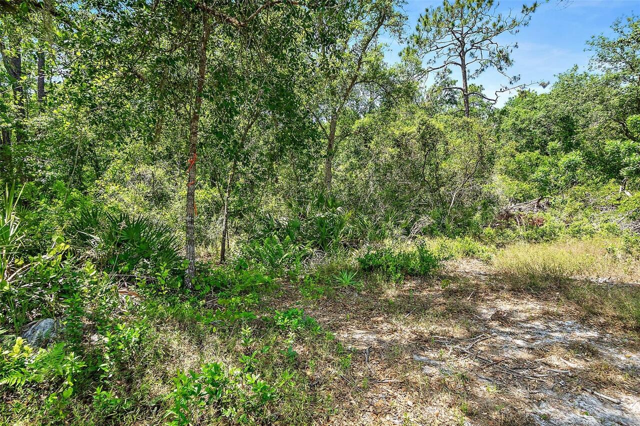 Listing Photo 45