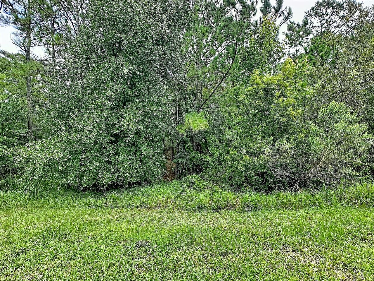 Listing Photo 54