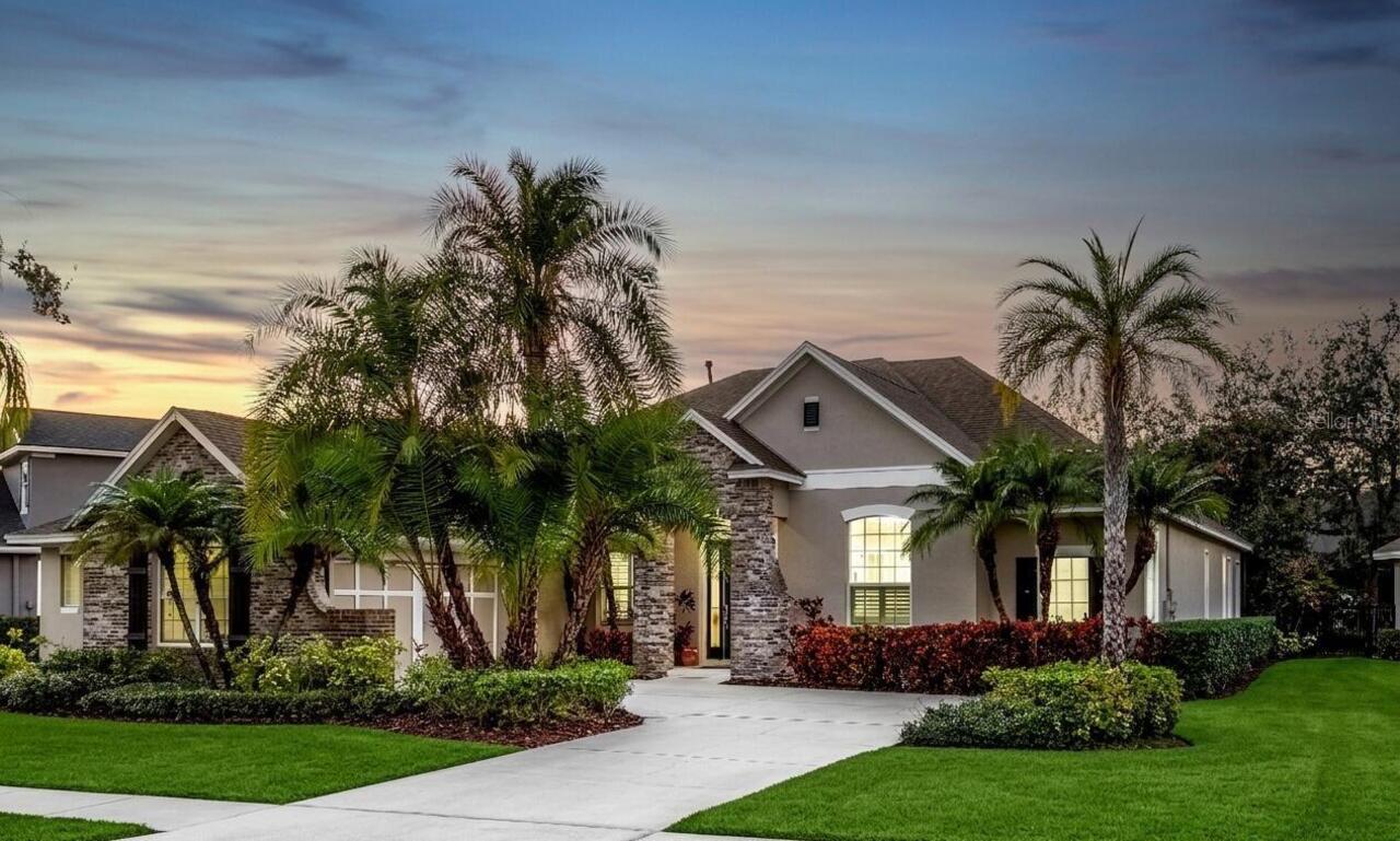 Tampa Real Estate