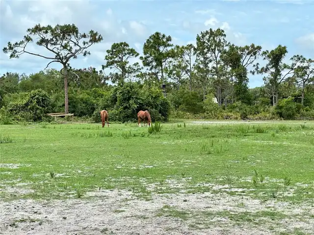Listing Photo 62