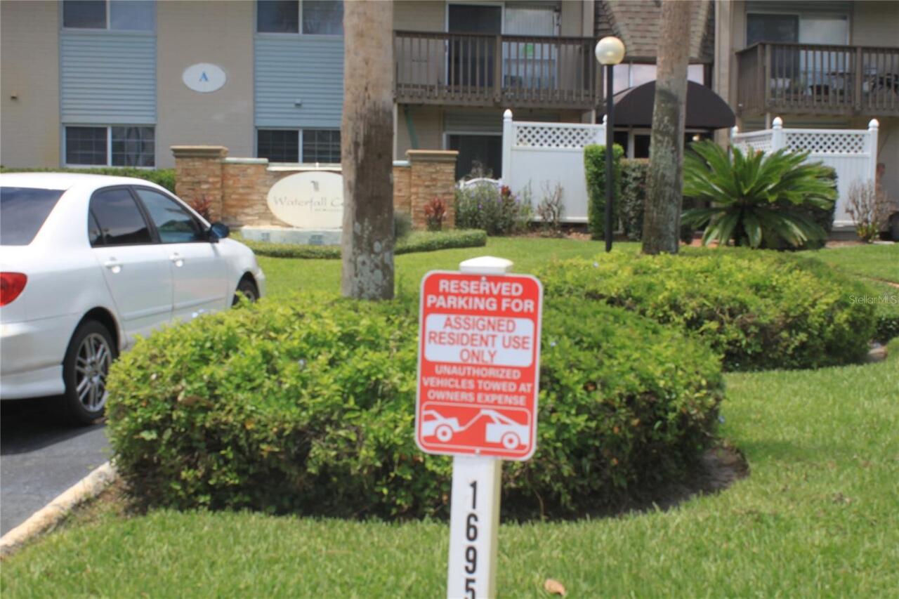 Winter Park Real Estate