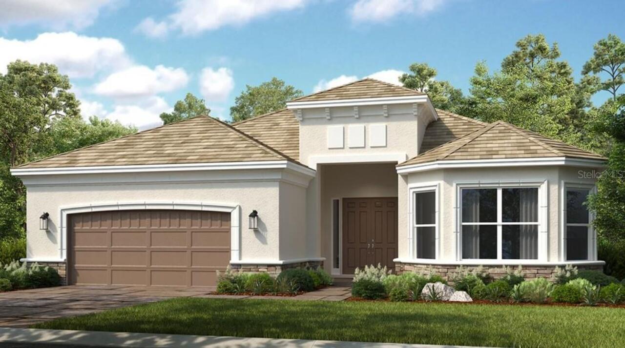 Wesley Chapel Real Estate