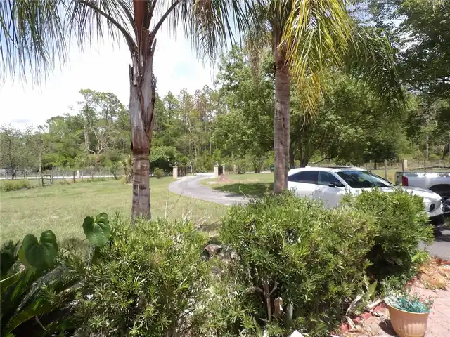 Listing Photo 31