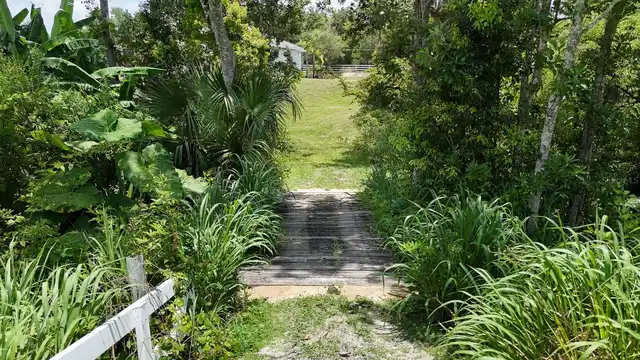 Listing Photo 54