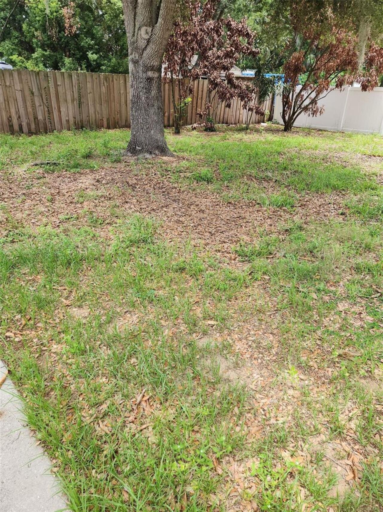 Listing Photo 19