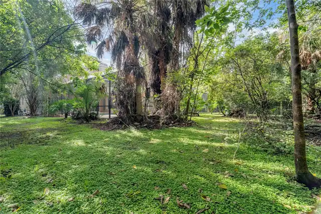 Listing Photo 45
