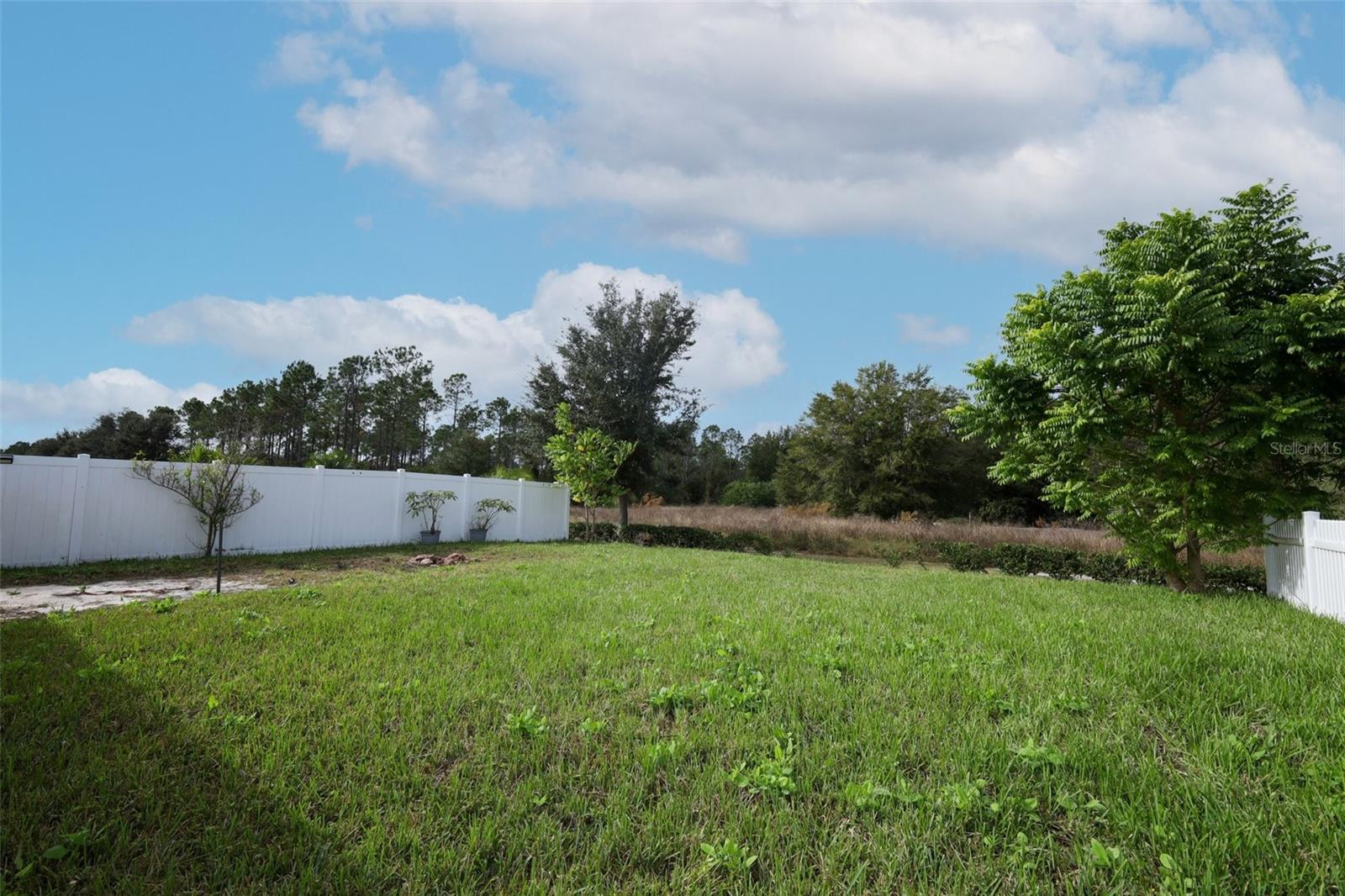 Listing Photo 28