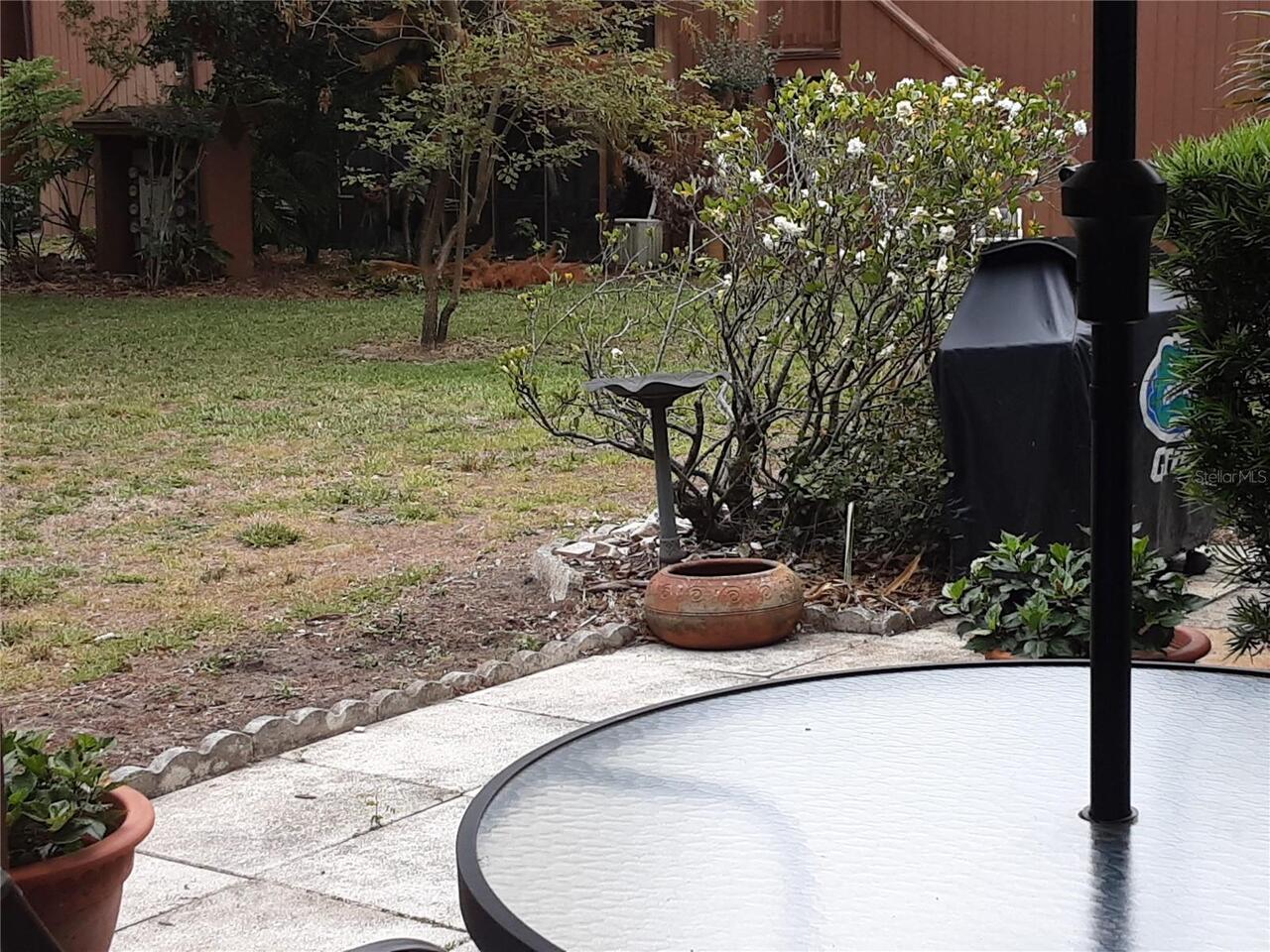 Listing Photo 22