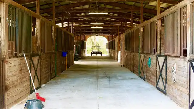 Listing Photo 13