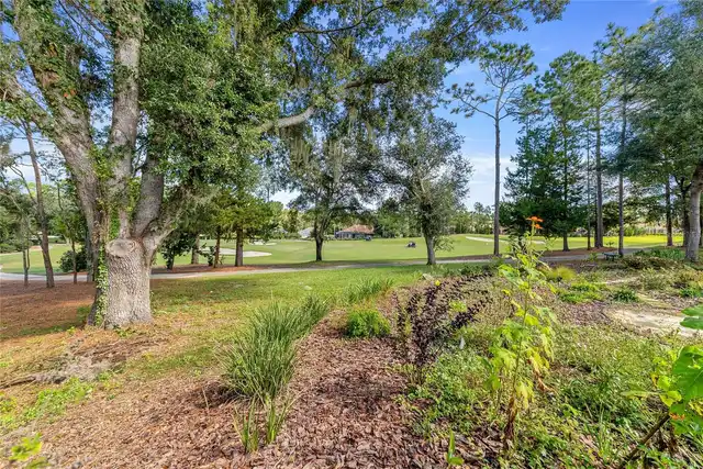 Listing Photo 54