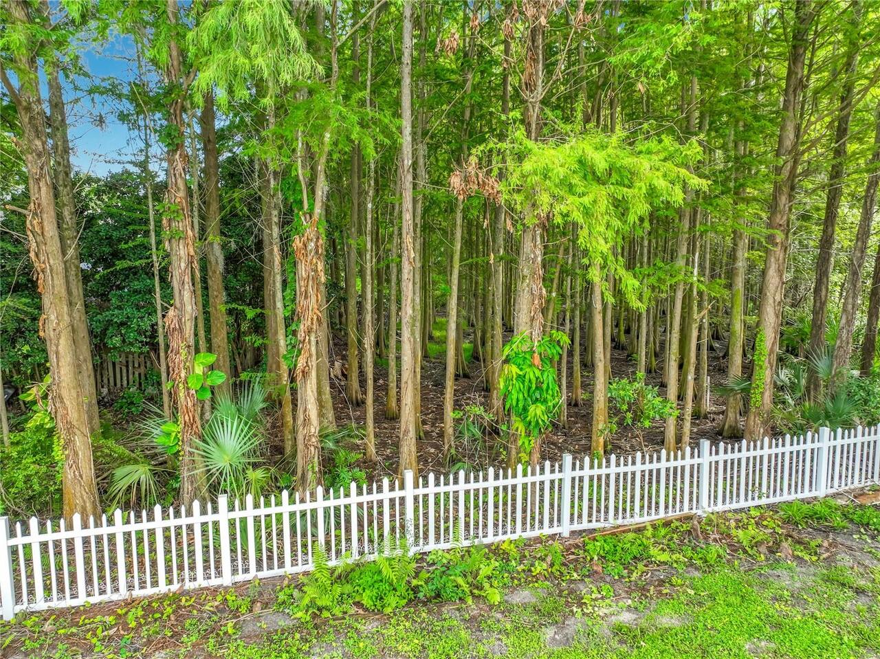 Listing Photo 84