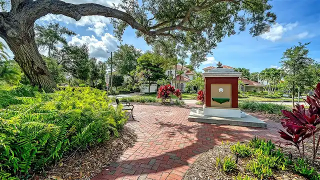 Listing Photo 52