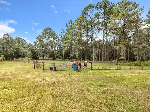 Listing Photo 85