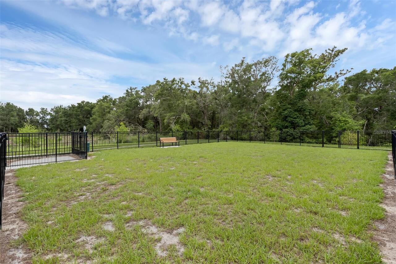 Listing Photo 31