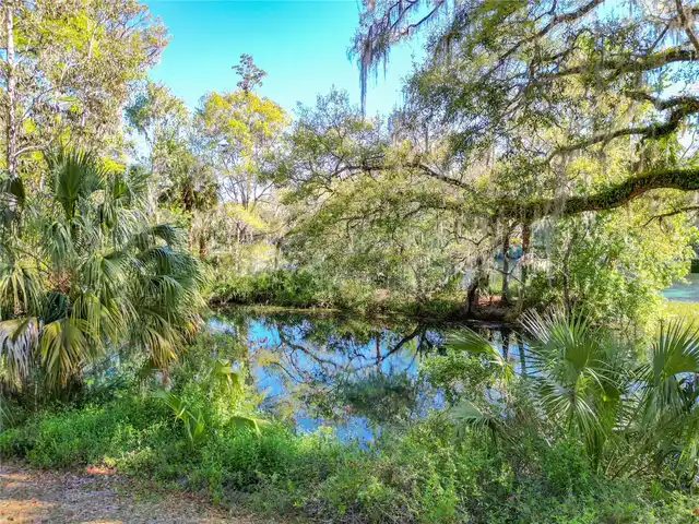 Listing Photo 78