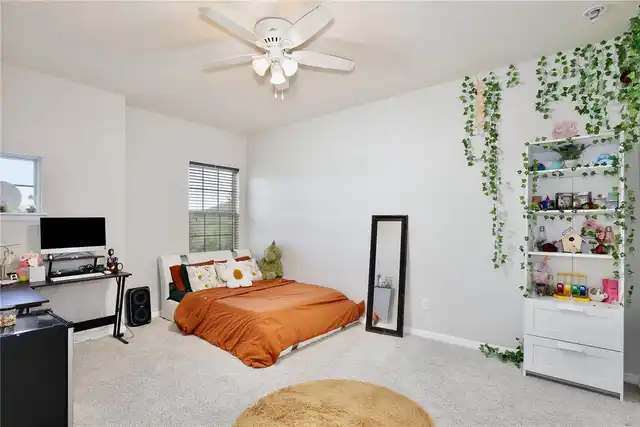 Listing Photo 37
