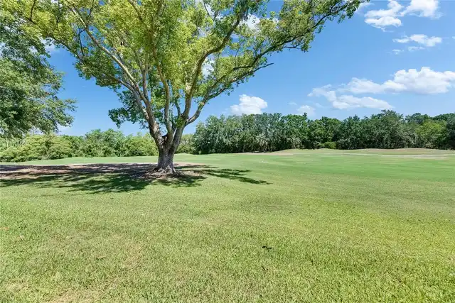 Listing Photo 57