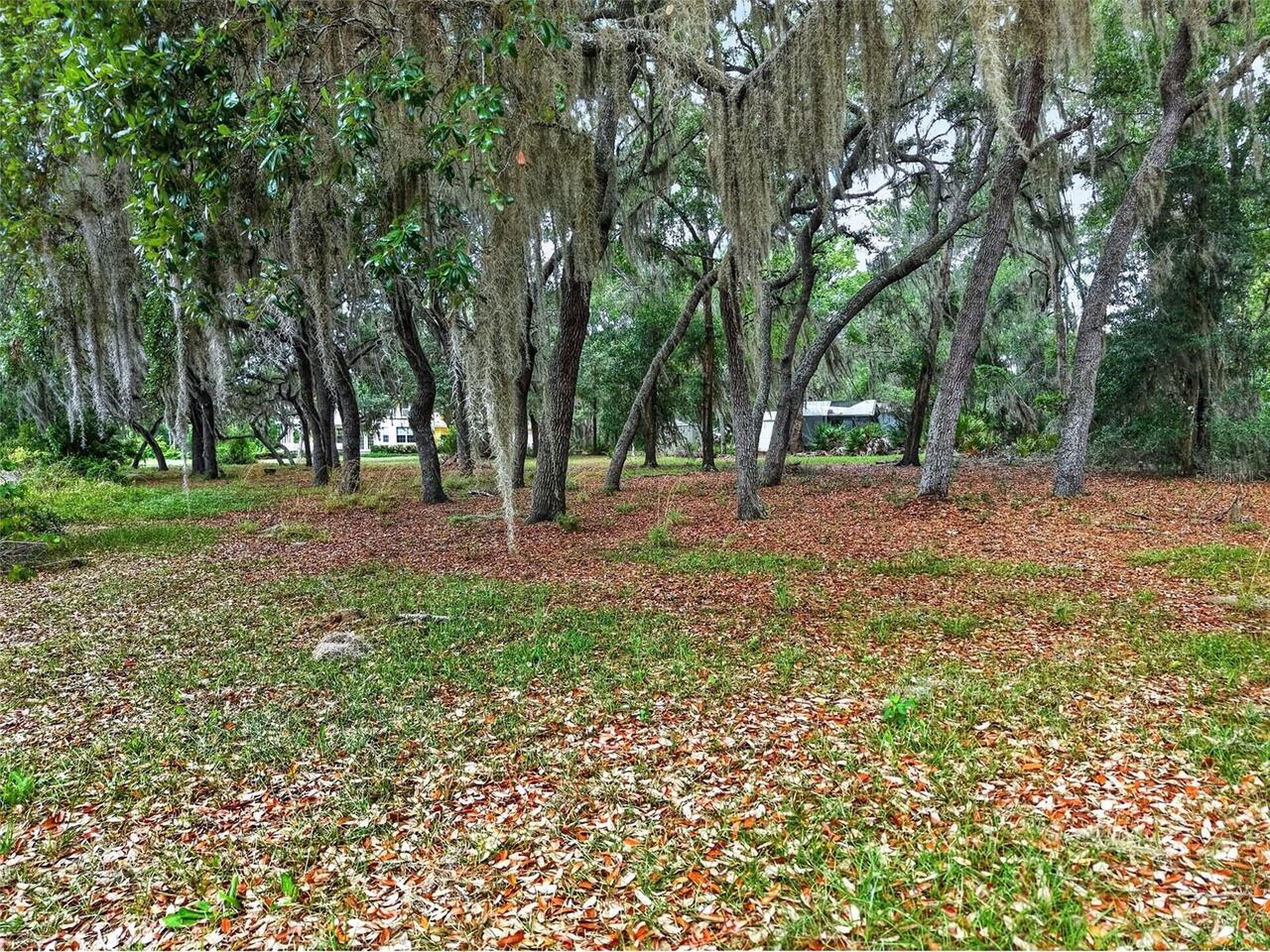 Listing Photo 52