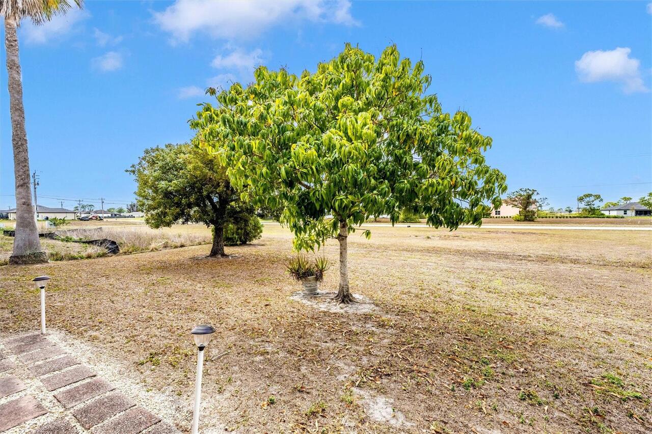 Listing Photo 43