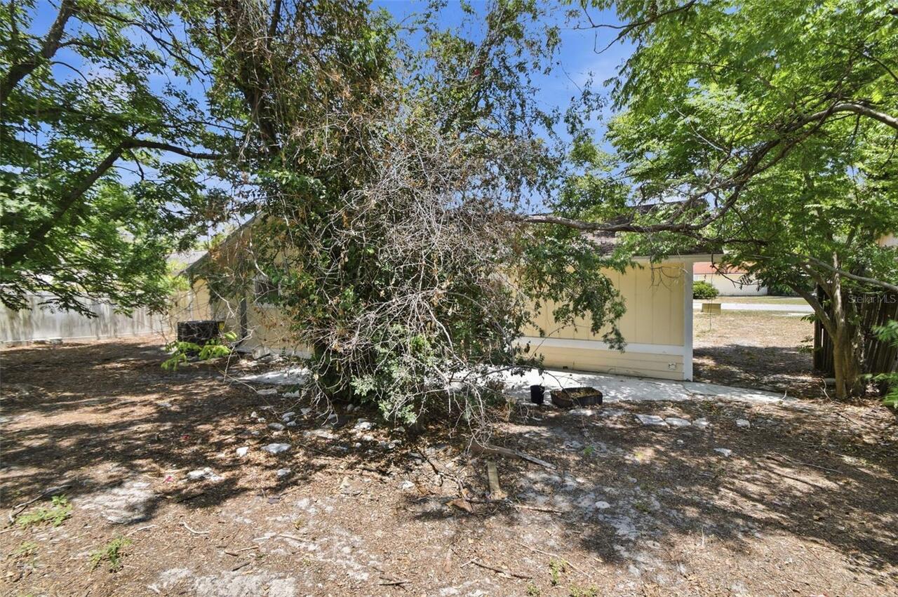 Listing Photo 46