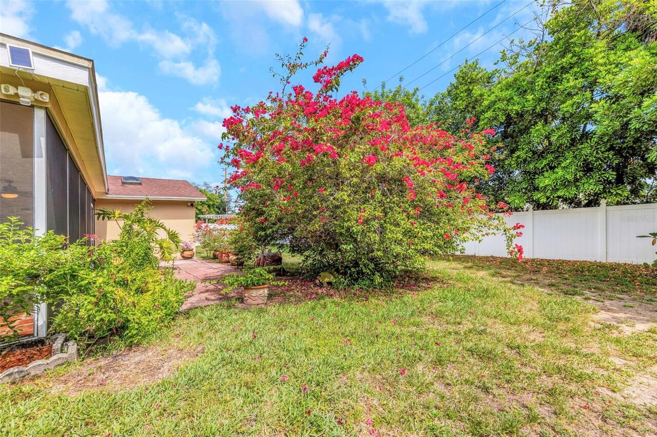 Listing Photo 34