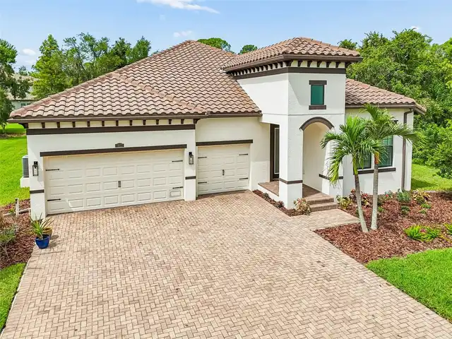 Tampa Real Estate