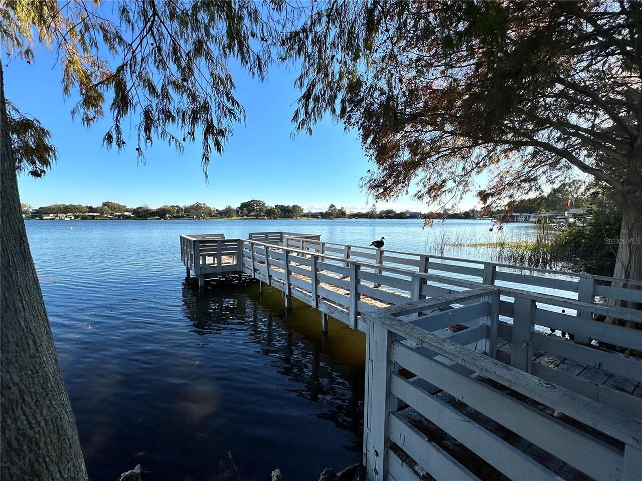 Listing Photo 19