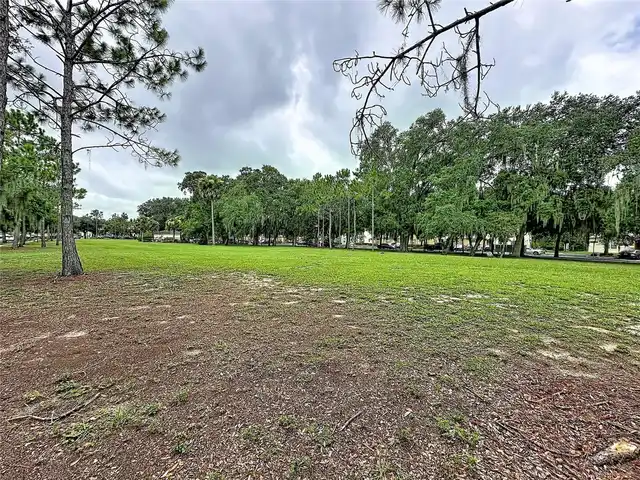 Listing Photo 43