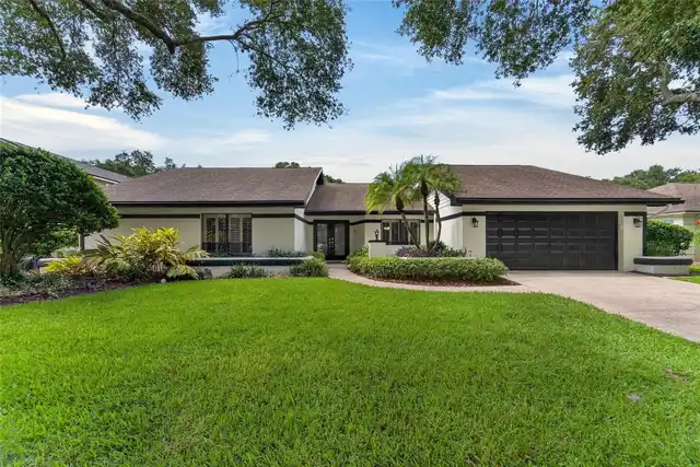 Tampa Real Estate