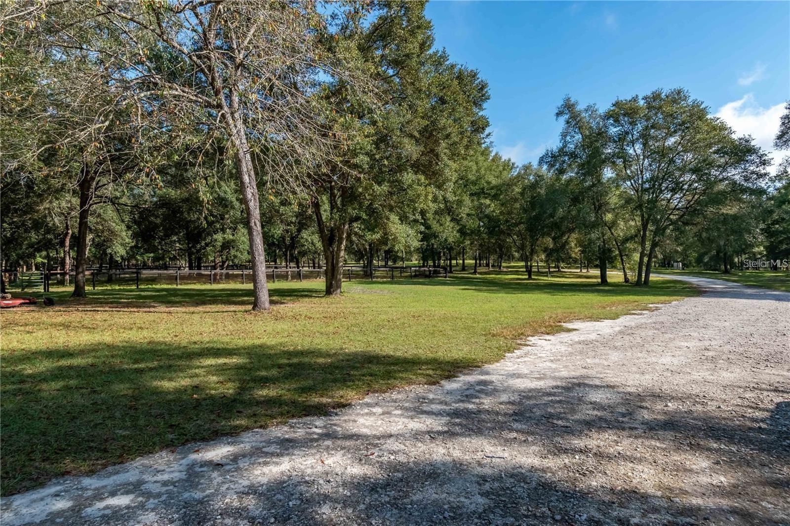 Listing Photo 21
