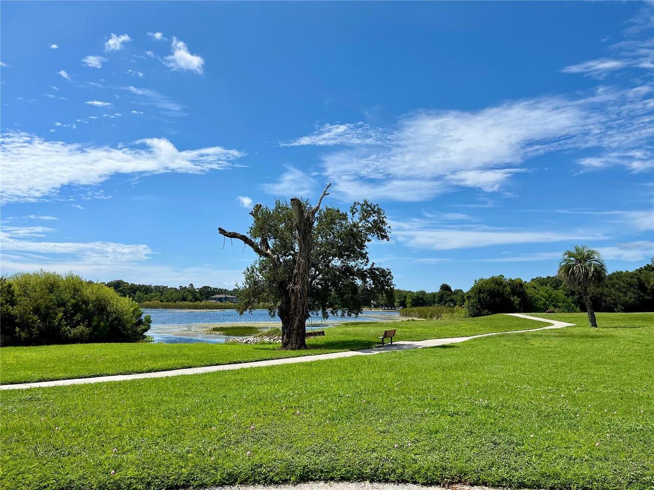 Listing Photo 32
