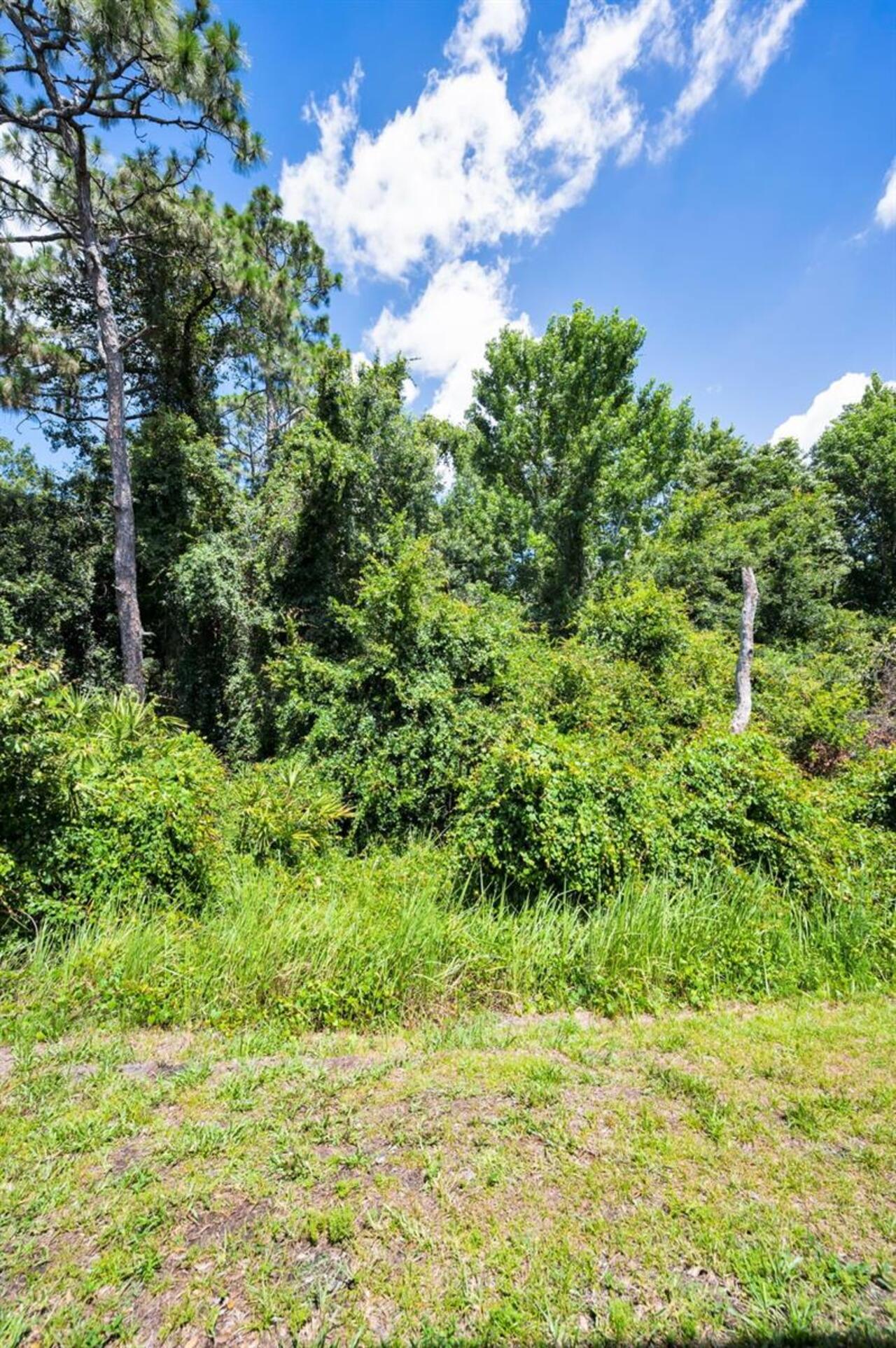Listing Photo 47