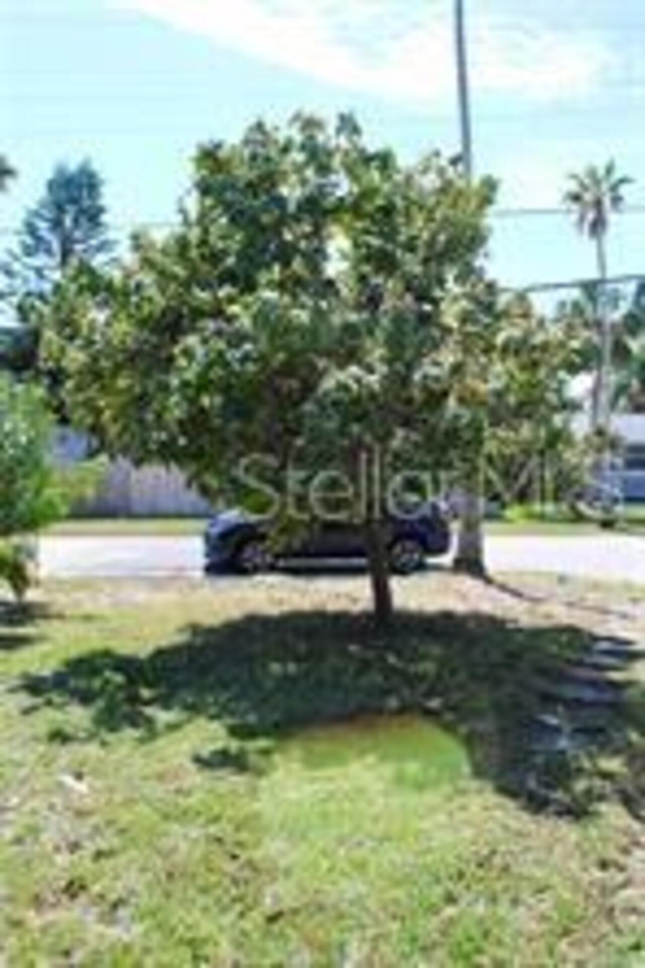 Listing Photo 14