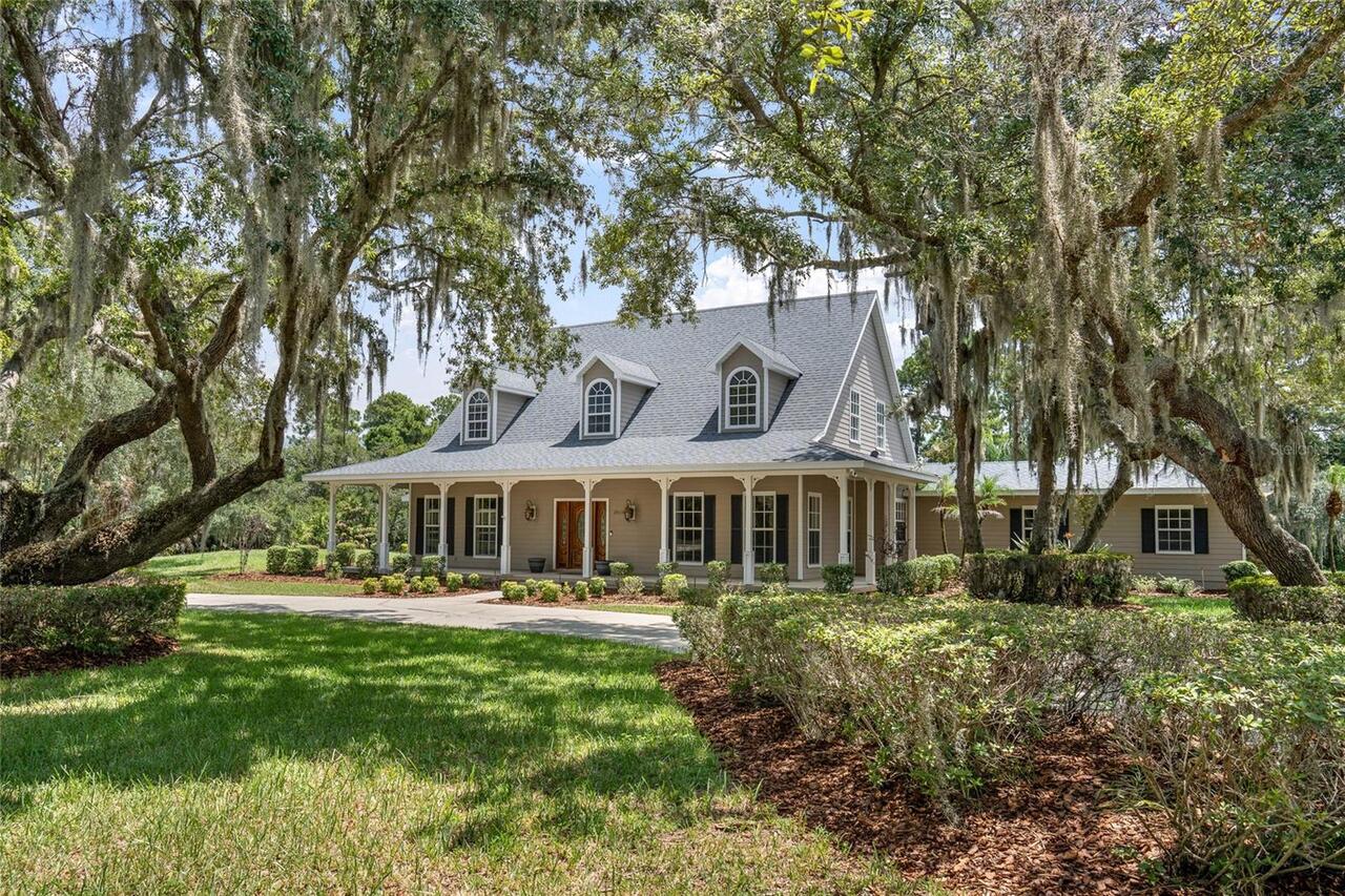 Tavares Real Estate