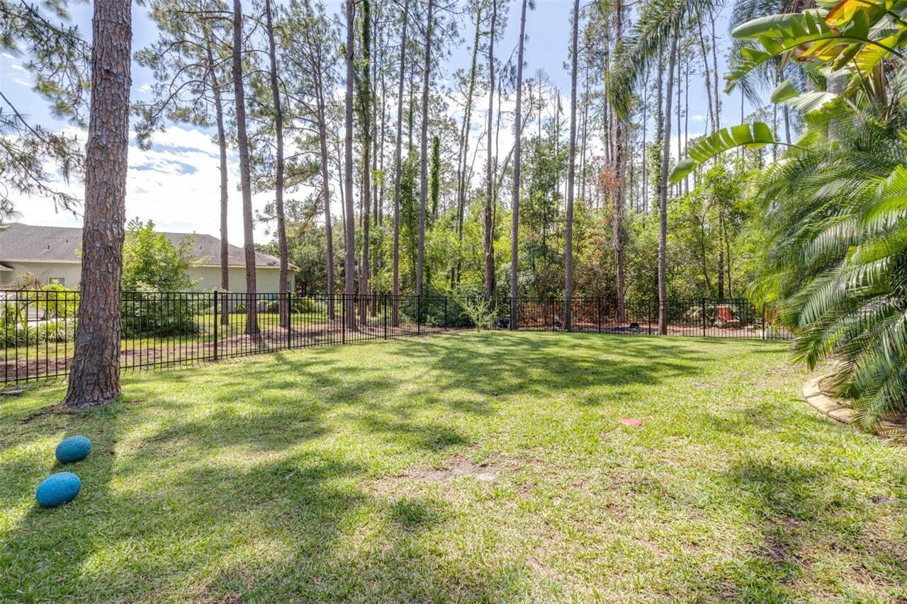 Listing Photo 61