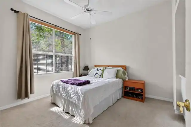 Listing Photo 22