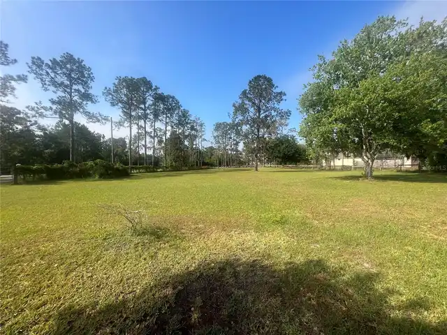 Listing Photo 39